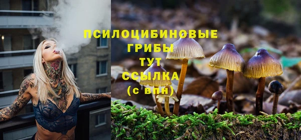 ALPHA-PVP Снежногорск