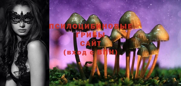 ALPHA-PVP Снежногорск