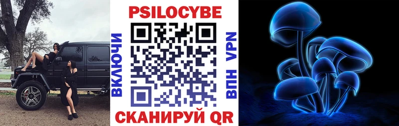 Галлюциногенные грибы мицелий  Владивосток 